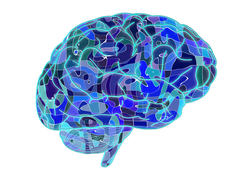 brain-951874_1280